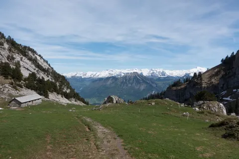 DSC00822